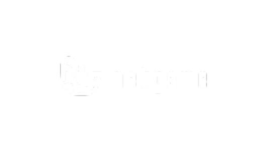 netgame